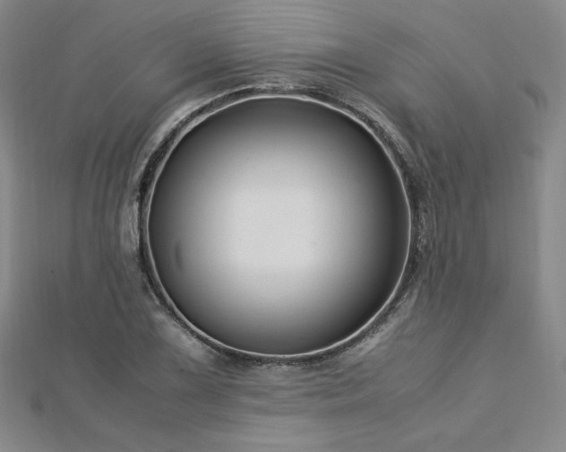 X0000113151075200909041228