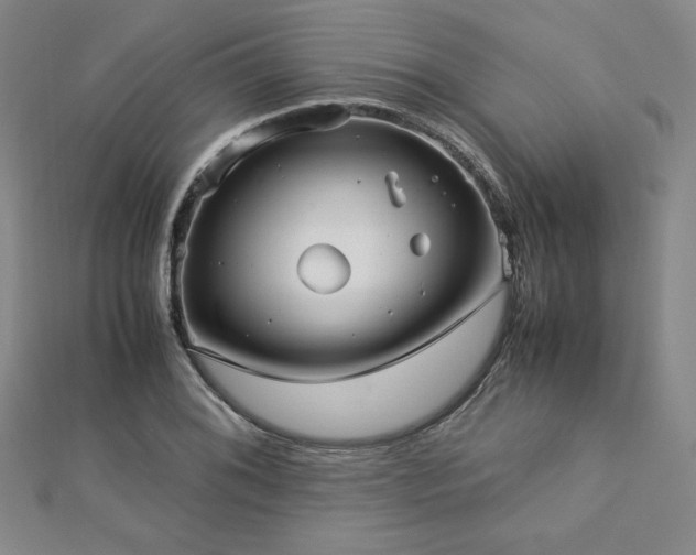 X0000113151076200909041228