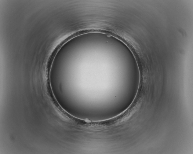 X0000113151077200909041228