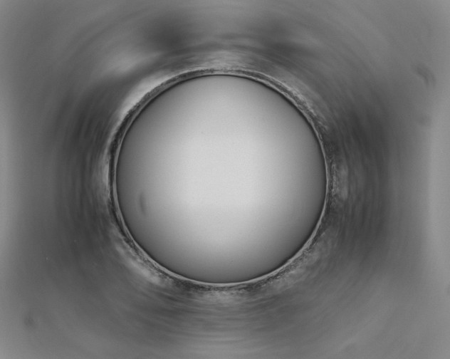 X0000113151078200909041228