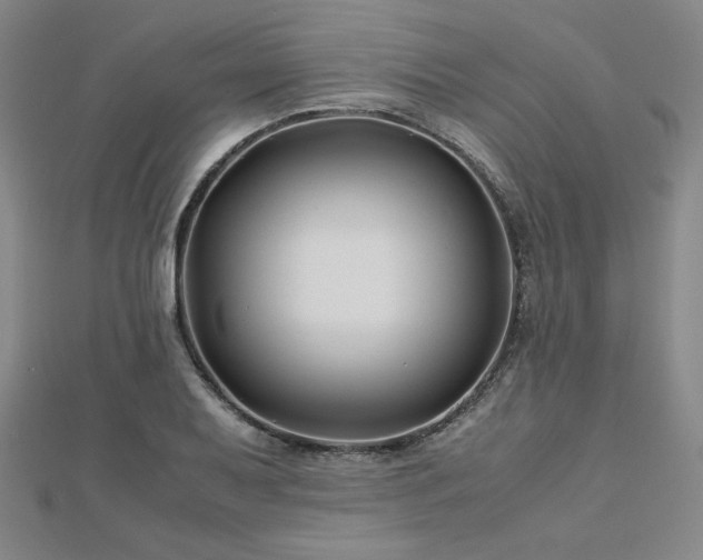 X0000113151079200909041228