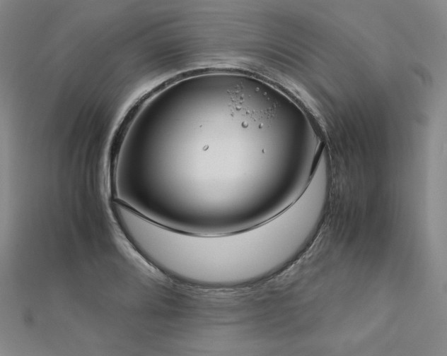 X0000113151080200909041228