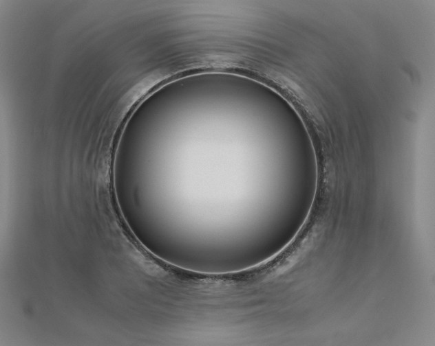 X0000113151081200909041228