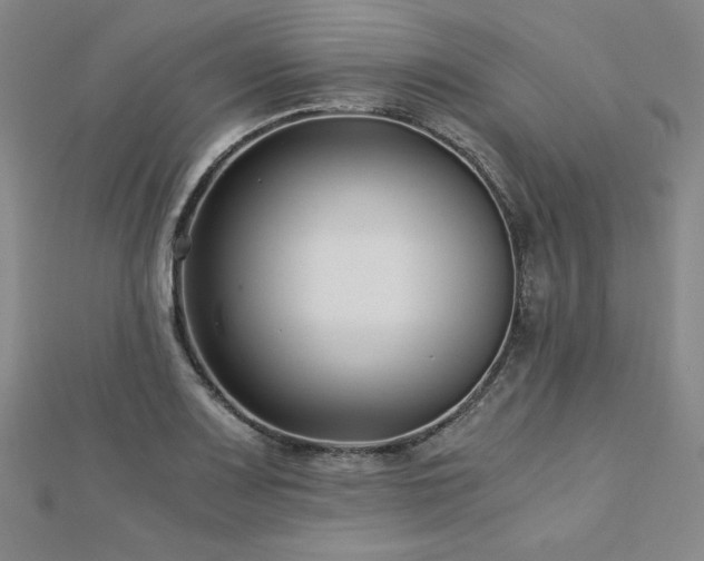 X0000113151083200909041228