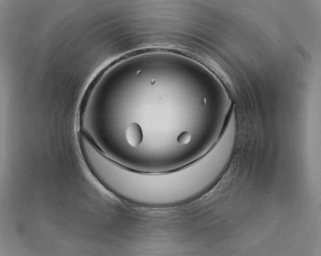 X0000113151084200909041228