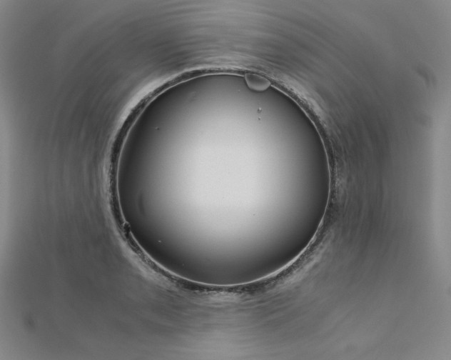 X0000113151085200909041228