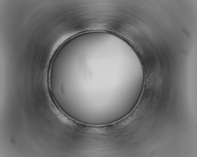 X0000113151086200909041228