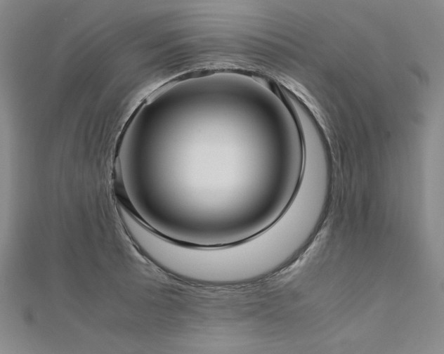 X0000113151089200909041228