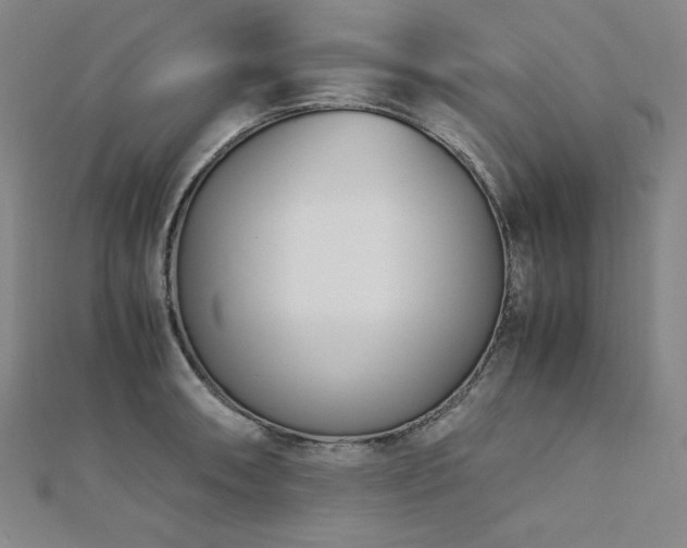 X0000113151090200909041228