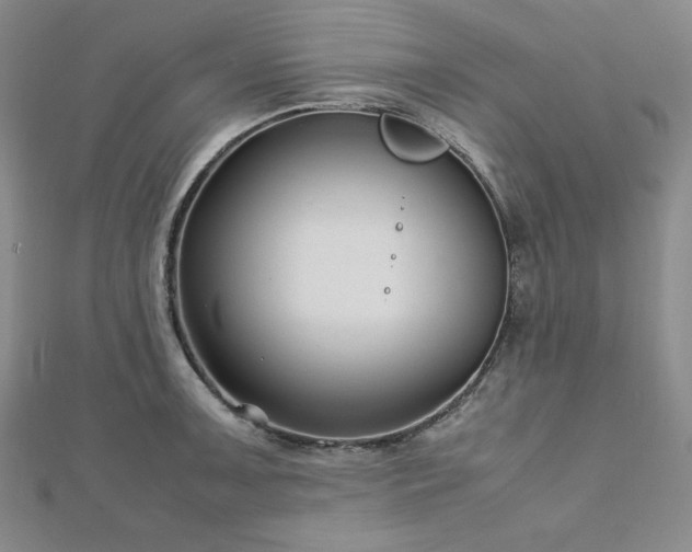 X0000113151091200909041228