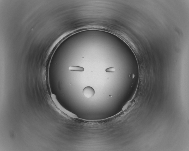 X0000113151092200909041228