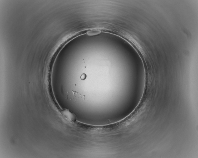 X0000113151093200909041228