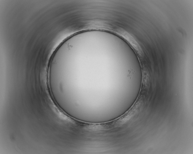 X0000113151094200909041228