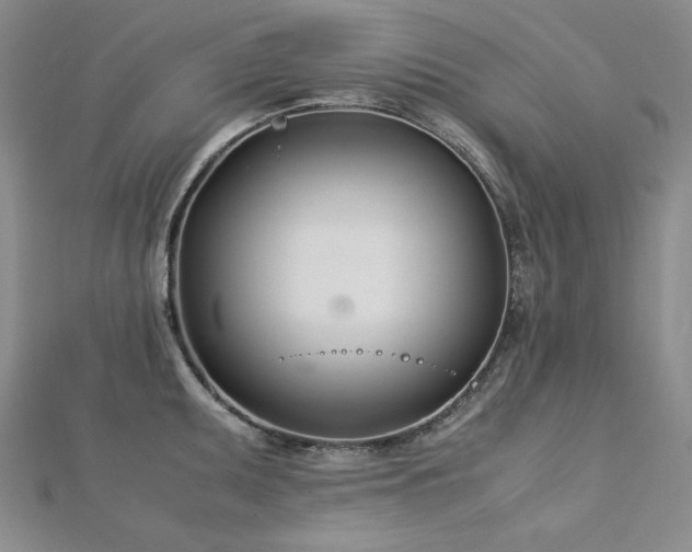 X0000113151095200909041228