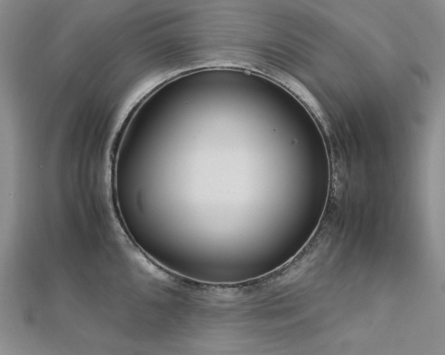 X0000113151096200909041228