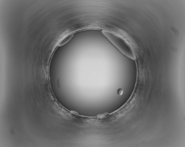 X0000113151097200909041228