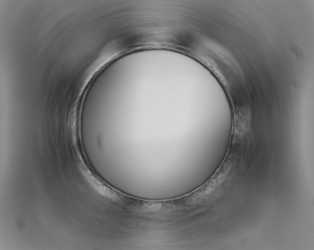 X0000113151098200909041227