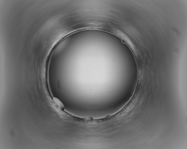 X0000113151099200909041227