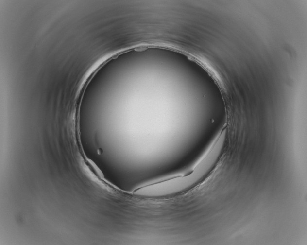 X0000113151100200909041227