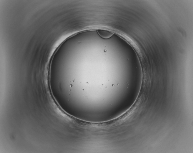 X0000113151102200909041227