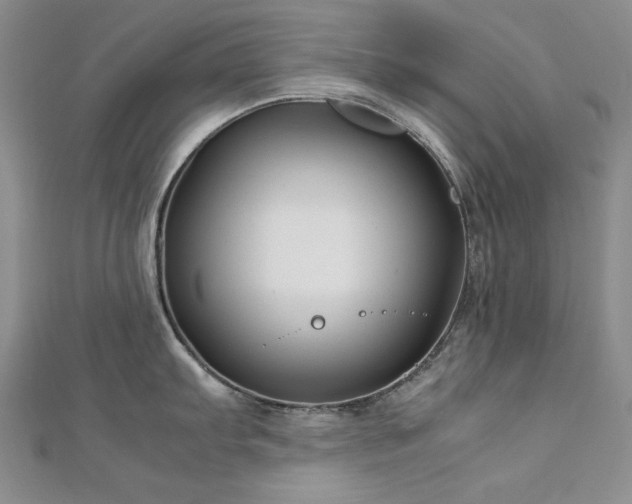 X0000113151103200909041227