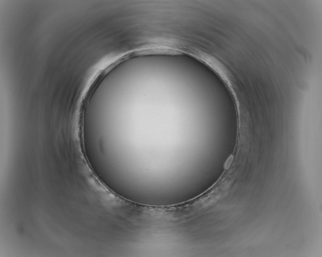 X0000113151104200909041227