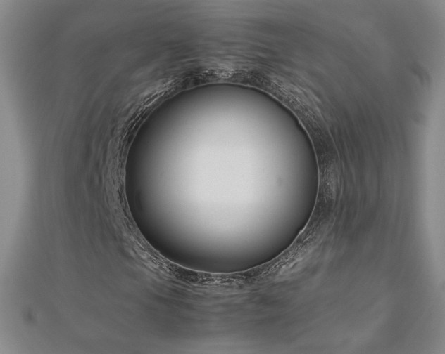 X0000113151105200909041227