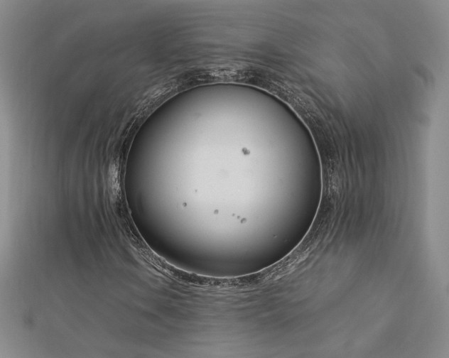 X0000113151106200909041227