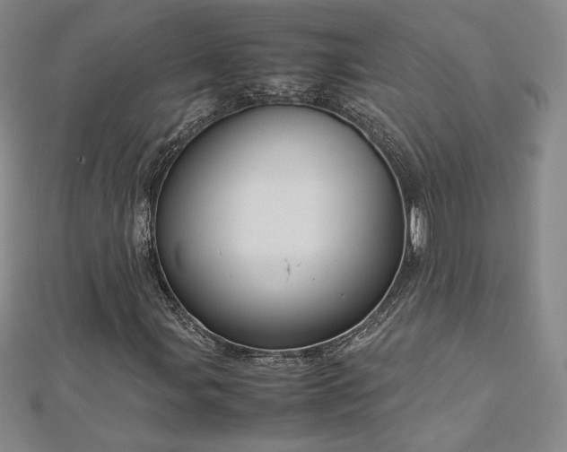 X0000113151107200909041227