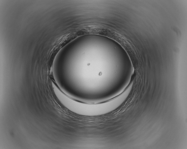 X0000113151108200909041227