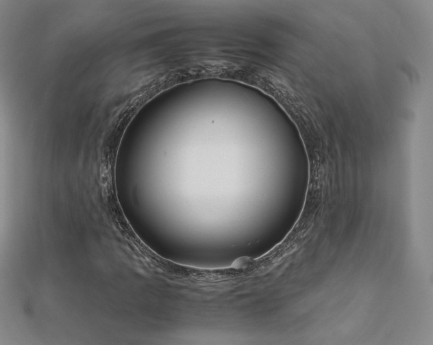 X0000113151109200909041227