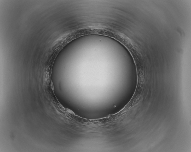 X0000113151110200909041227