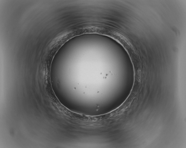 X0000113151111200909041227