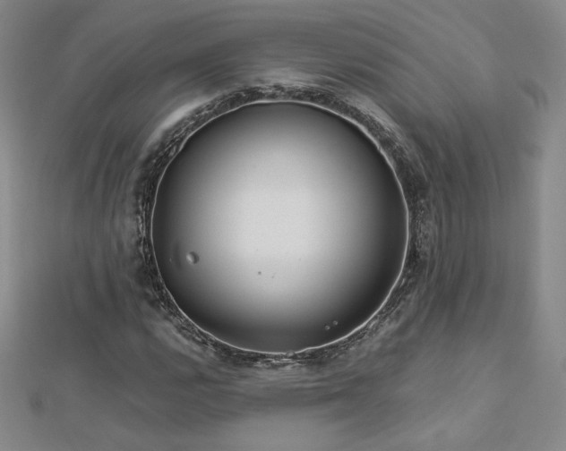 X0000113151112200909041227