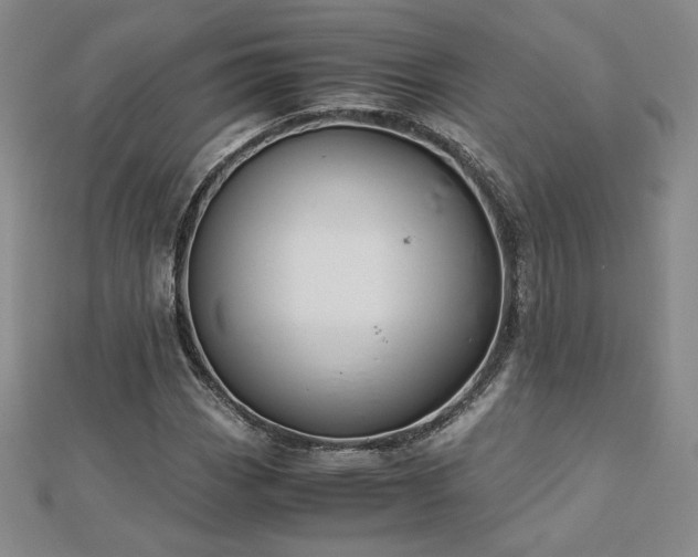 X0000113151113200909041227