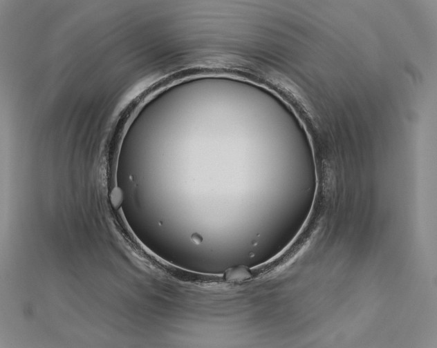 X0000113151114200909041227