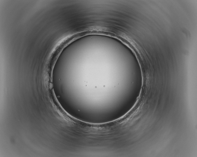 X0000113151115200909041227