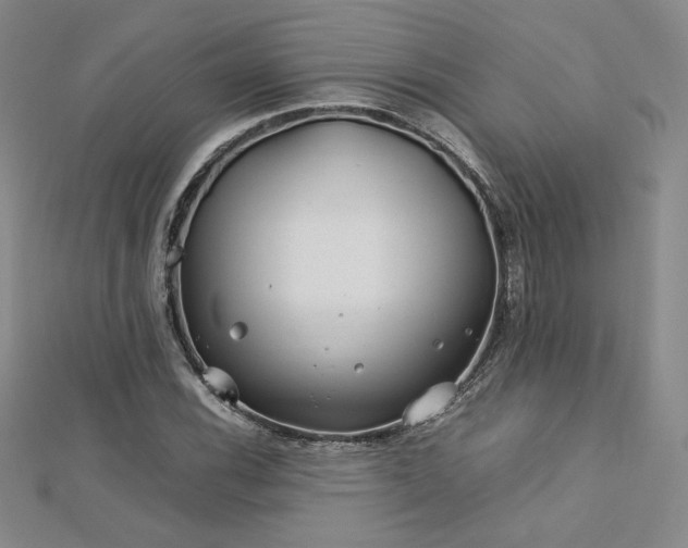 X0000113151116200909041227