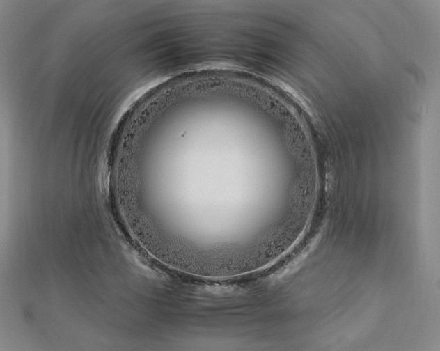 X0000113151117200909041227