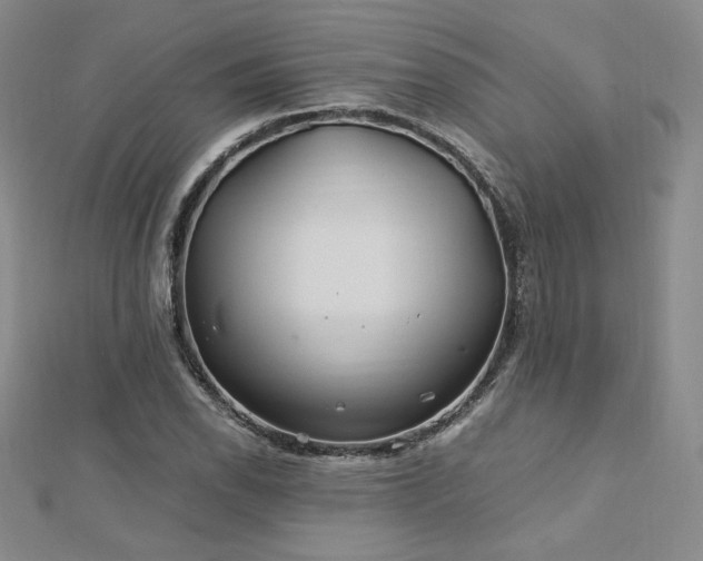 X0000113151118200909041227