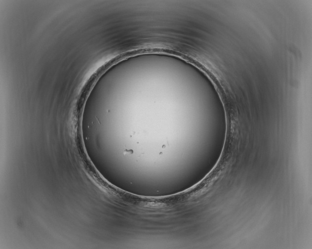 X0000113151119200909041227