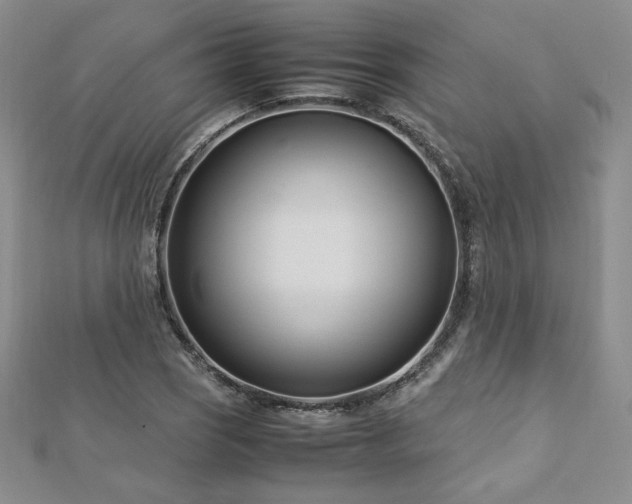 X0000113151121200909041227