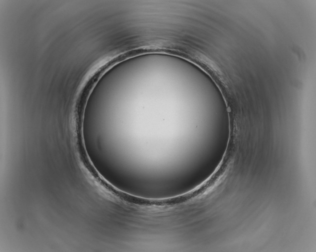 X0000113151122200909041227