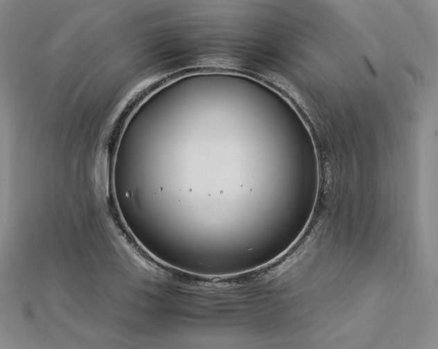 X0000113151123200909041227