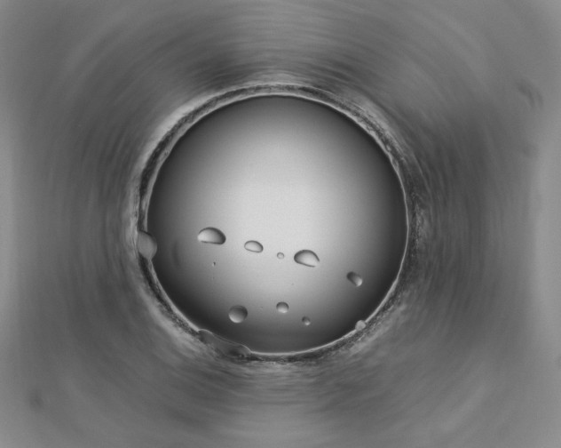 X0000113151124200909041227