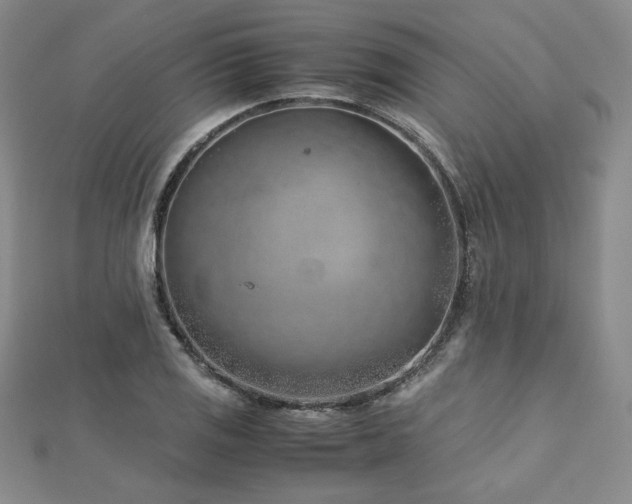 X0000113151125200909041227