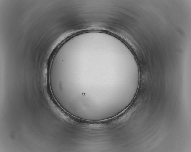 X0000113151126200909041227