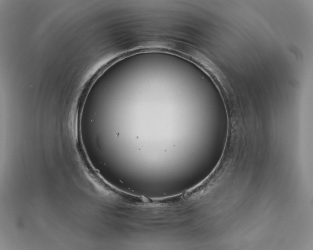 X0000113151127200909041227