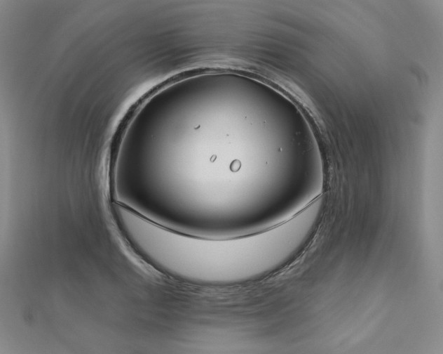 X0000113151128200909041227