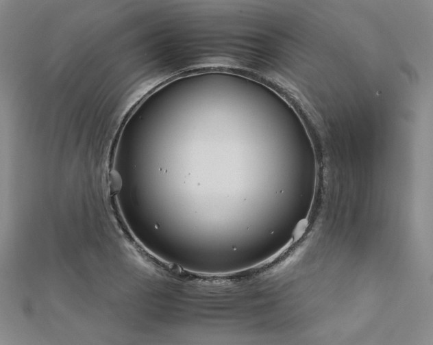 X0000113151129200909041227